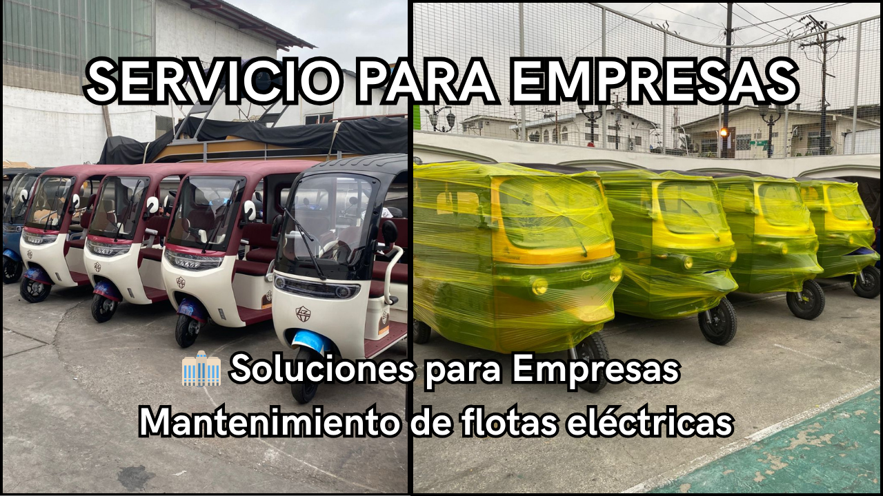 SERVICIO PARA EMPRESAS, Mantenimiento para flotas electricas